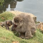 Photo taken by Eric m