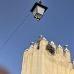 Photo taken by Peggy B