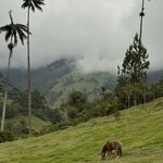 Photo taken by Sophie F