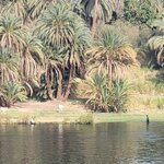 Photo taken by Kim M