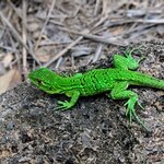 Photo taken by Jason C