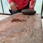 Photo taken by Dana F