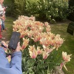 Photo taken by Paul H
