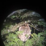 Photo taken by Alda Bernice M