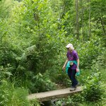 Photo taken by Bill F