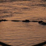 Photo taken by Linette B