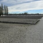 Photo taken by Jeffrey B