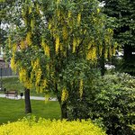 Photo taken by Sylvia S