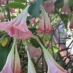 Photo taken by Lori K