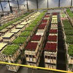 Photo taken by Jennifer D