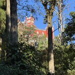 Photo taken by Lisa G