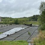 Photo taken by Jill B