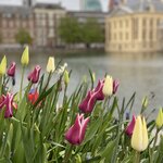 Photo taken by Shannon F