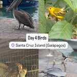 Photo taken by Ben S