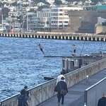 Photo taken by Walt N