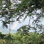 rainbow | Photo taken by Janice B