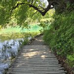 Photo taken by Carol H