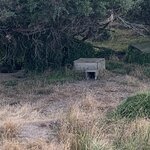 Photo taken by Julie H