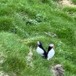 Photo taken by Amy W