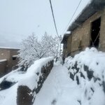 Photo taken by Bryan T