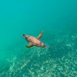 Photo taken by Thomas L