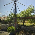 Photo taken by Candi S