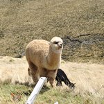 Photo taken by Natascia V