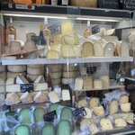 Photo taken by jane p