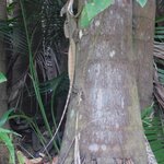 Photo taken by Brett F