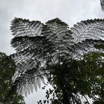 Photo taken by Kate R