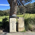 Photo taken by Amy Z