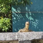 Photo taken by Audrea H