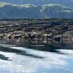 Photo taken by John K