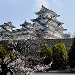 Photo taken by Norma M