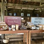 Photo taken by Kim C