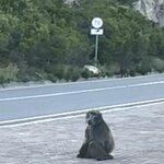 Photo taken by Joanne B