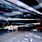 Photo taken by Jennifer E