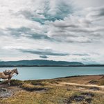 Photo taken by timothy m