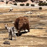 Photo taken by Shirley S