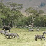 Photo taken by Kristin M