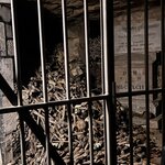 Photo taken by Kristin S