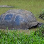 Photo taken by Patricia D