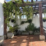 Photo taken by Tricia E