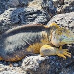 Photo taken by Debby D