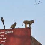 Photo taken by Maureen M