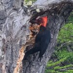 Photo taken by Bao T