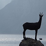 Photo taken by Shree L