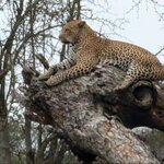 Photo taken by Kolla S