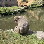 Photo taken by Natalie L