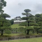 Photo taken by Lisa W